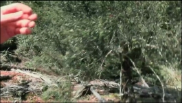 Alone Australia - Season 01 Episode 04